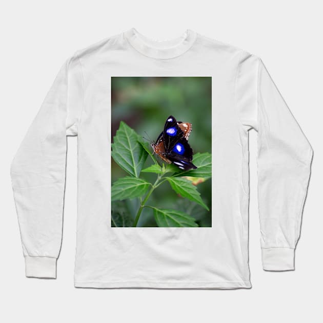 Common Eggfly and Friend Long Sleeve T-Shirt by GP1746